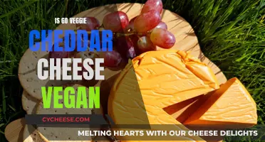 Go Veggie's Cheddar Cheese: Vegan or Not?