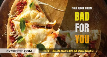 Go Veggie Cheese: Healthy or Harmful?