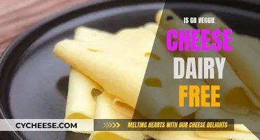 Go Veggie Cheese: Dairy-Free Delight?