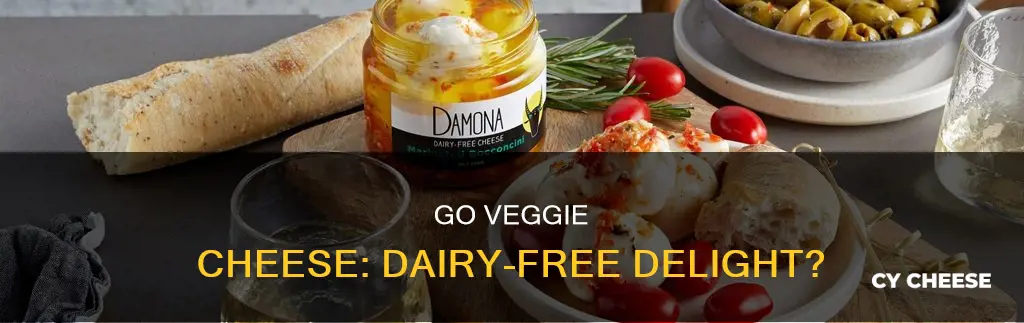 is go veggie cheese dairy free