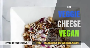 Is Go Veggie Cheese Vegan? Uncovering the Truth About Ingredients