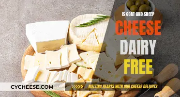 Goat and Sheep Cheese: Dairy-Free Delights?