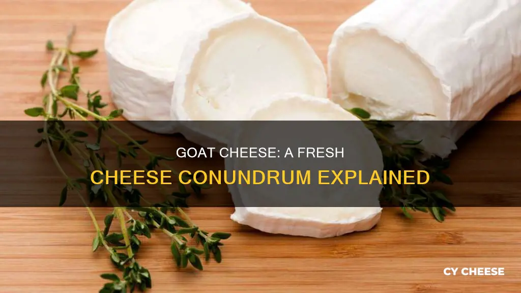 is goat cheese a fresh cheese