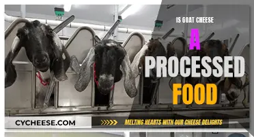 Goat Cheese: Processed or Not?