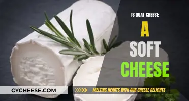 Unraveling the Mystery: Is Goat Cheese Soft or Something Else?