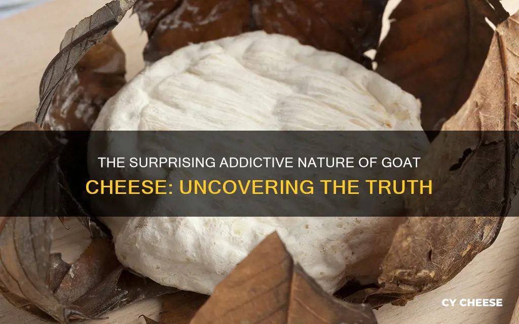 is goat cheese addictive