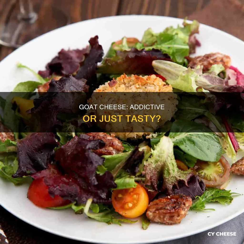 is goat cheese addictive