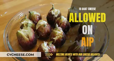 Goat Cheese and AIP: What You Need to Know