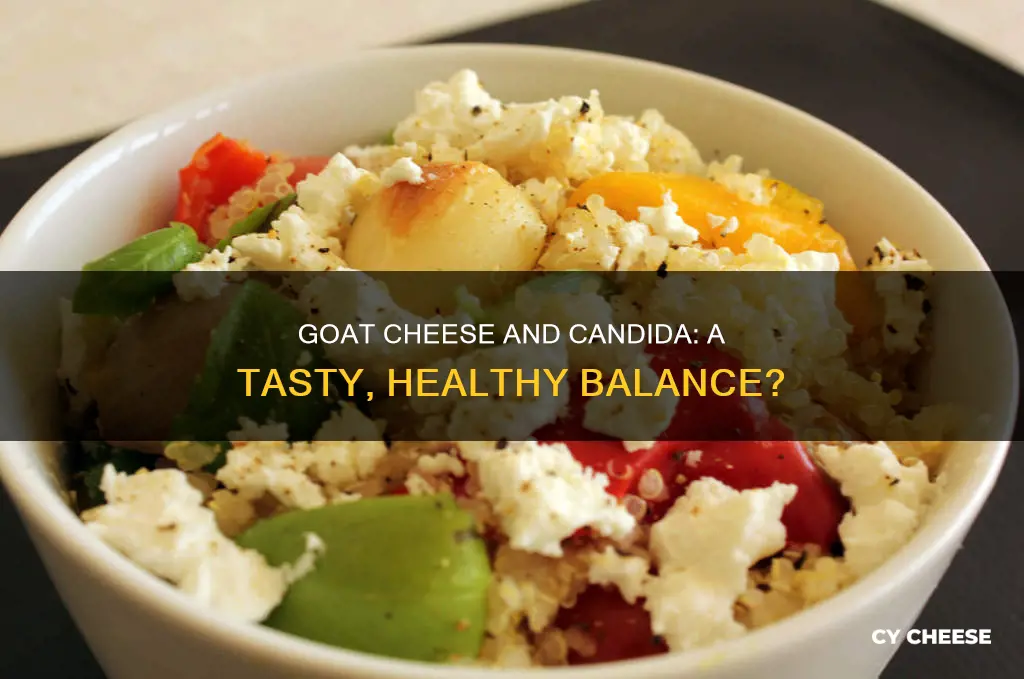 is goat cheese allowed on candida diet