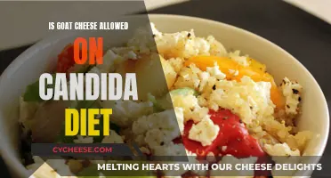 Goat Cheese and Candida Diet: What's Allowed?