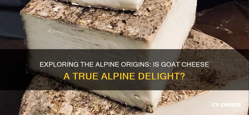 is goat cheese alpine