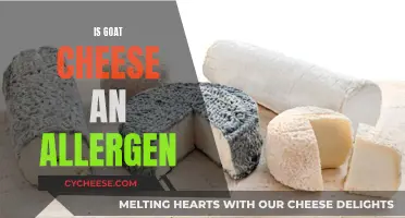 Unveiling the Mystery: Is Goat Cheese an Allergen?