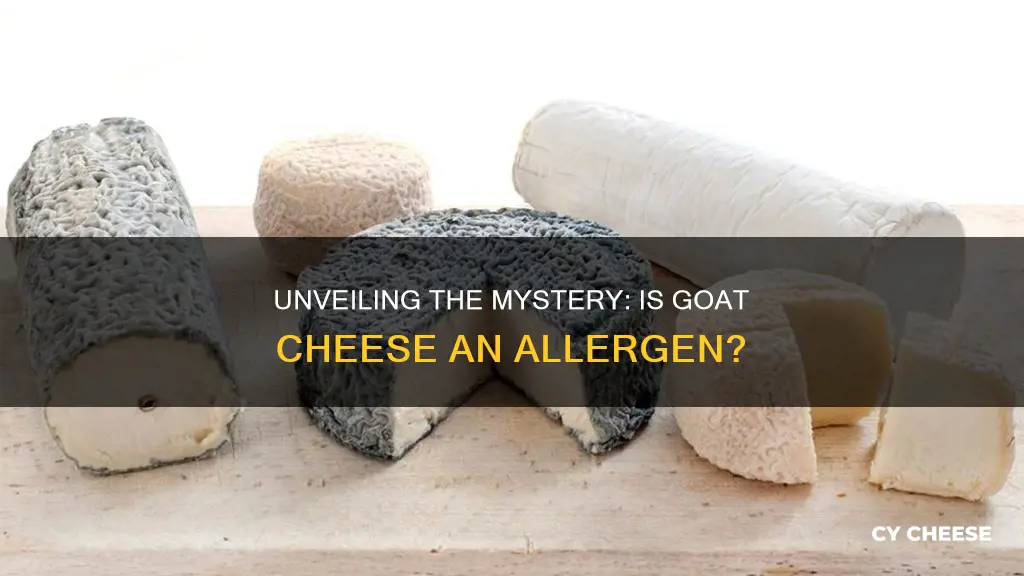 is goat cheese an allergen