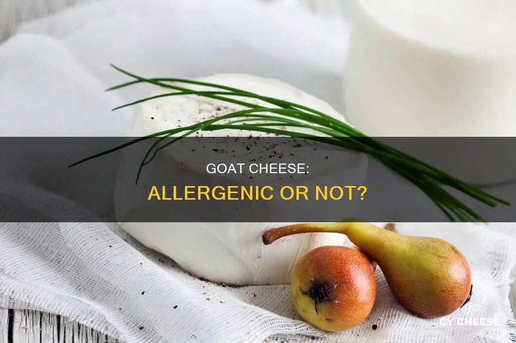 is goat cheese an allergen