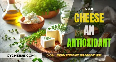 Unveiling the Antioxidant Power of Goat Cheese: A Nutritional Journey