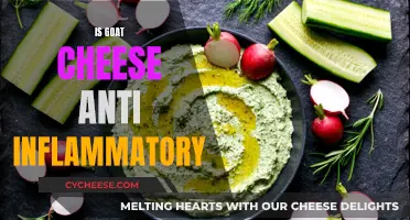 Unveiling the Anti-Inflammatory Power of Goat Cheese