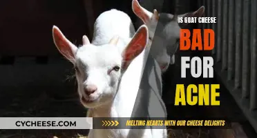 Unraveling the Mystery: Goat Cheese and Acne