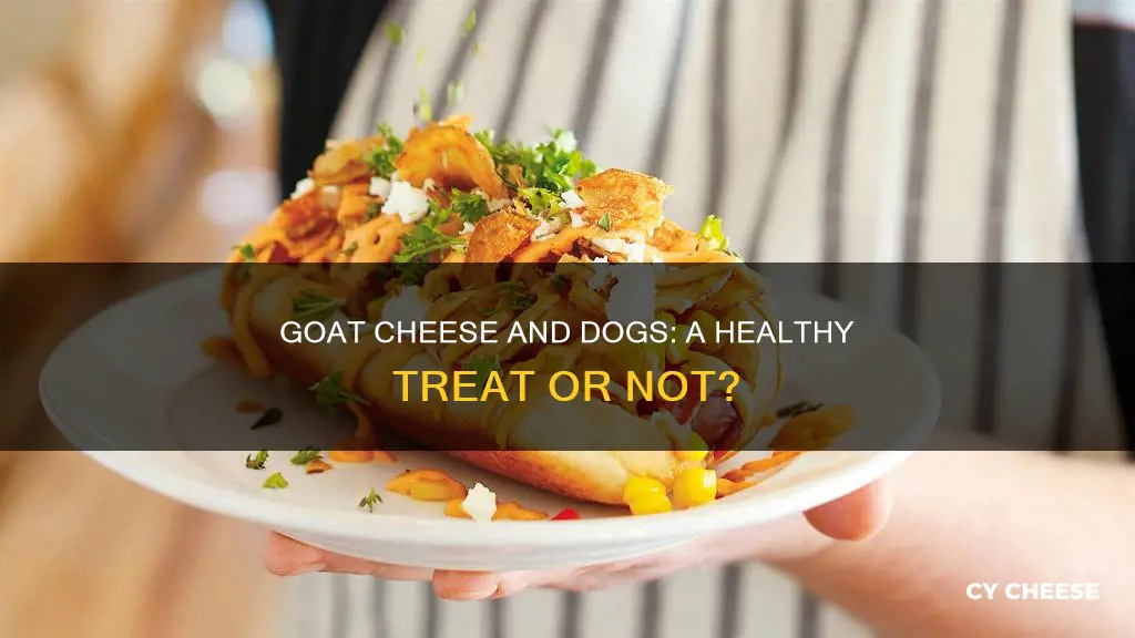 is goat cheese bad for dogs