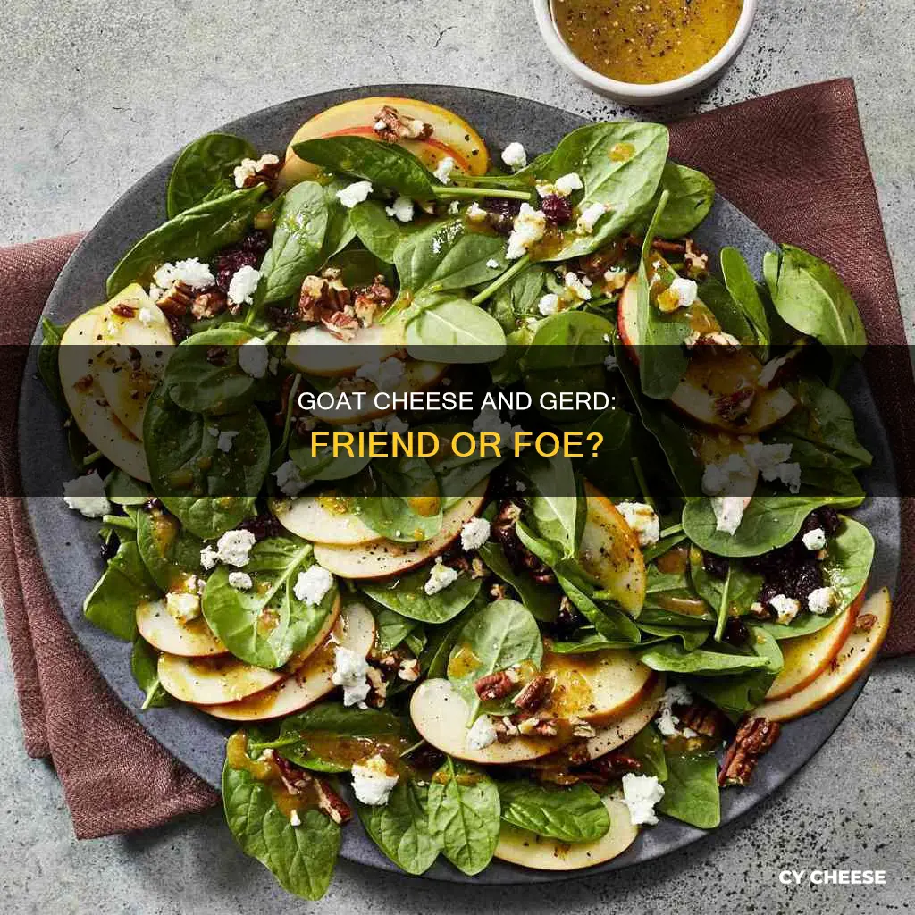 is goat cheese bad for gerd