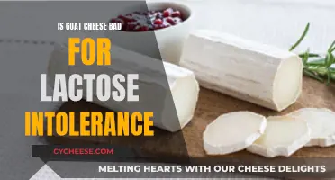 Goat Cheese and Lactose Intolerance: Unraveling the Mystery