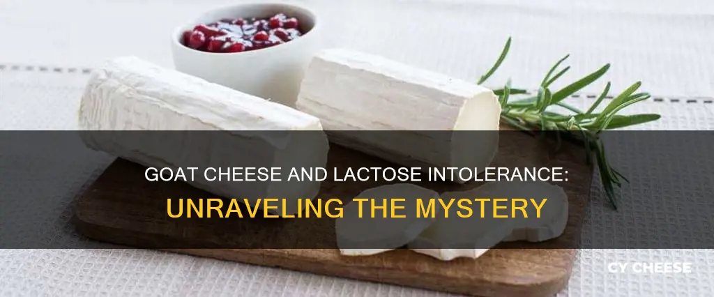 is goat cheese bad for lactose intolerance