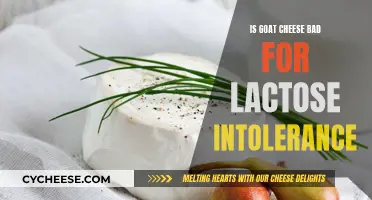 Goat Cheese and Lactose Intolerance: Friend or Foe?