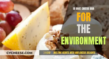 Goat Cheese: Environmental Impact and Sustainable Consumption
