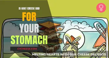 Goat Cheese and Your Stomach: Friend or Foe?