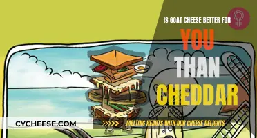 Goat Cheese vs. Cheddar: Unveiling the Healthier Choice