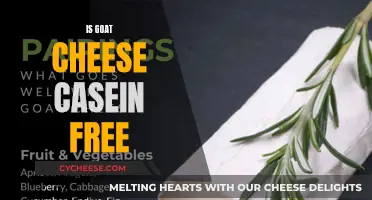 Goat Cheese: Casein-Free Delight or Just a Myth?