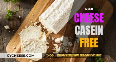 Goat Cheese: A Casein-Free Option for Dairy Lovers