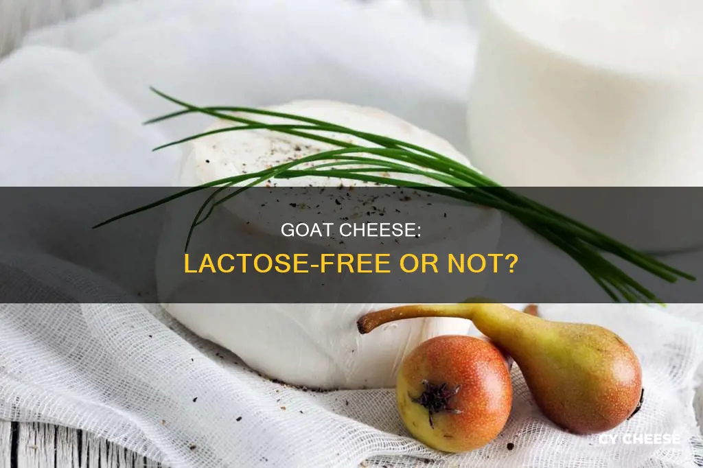 is goat cheese considered lactose free