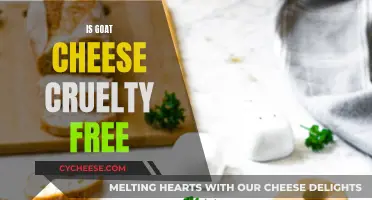 Ethical Dilemma: Is Goat Cheese Cruelty-Free?