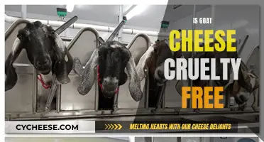 Goat Cheese: Ethical and Sustainable?