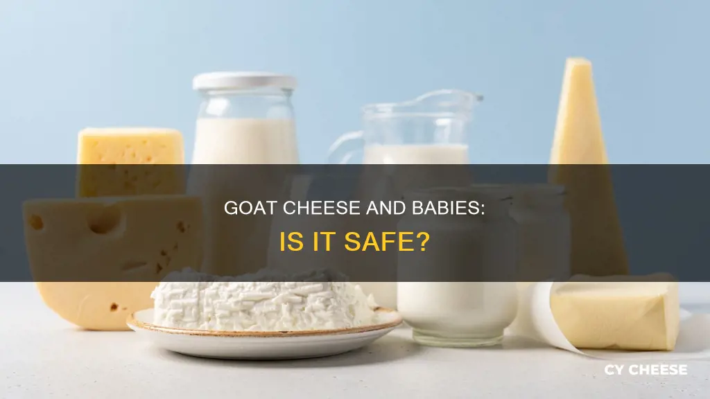 is goat cheese dairy baby