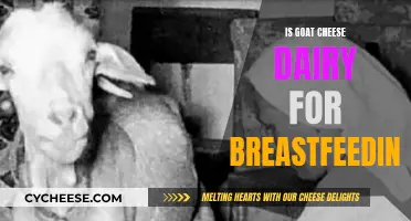 Goat Cheese Consumption: Breastfeeding and Dairy Products