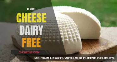 Goat Cheese: Dairy-Free Delicacy or Dietary Disaster?