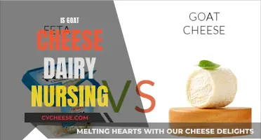 Goat Cheese: A Dairy-Free Nursing Companion?