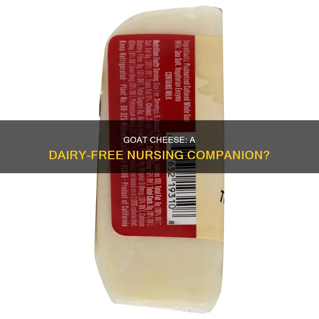 is goat cheese dairy nursing