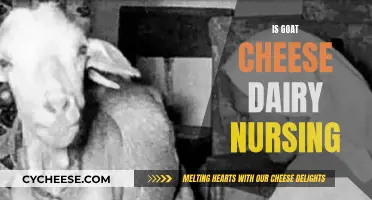 Goat Cheese and Breastfeeding: Is It Safe?