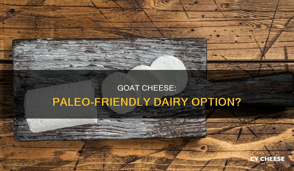 is goat cheese dairy paleo