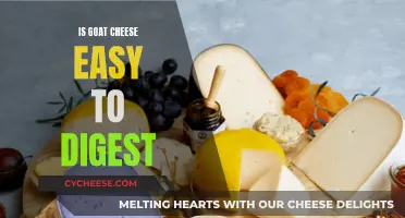 Unraveling the Mystery: Is Goat Cheese a Digestive Dream?