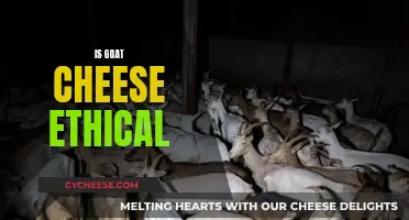 Ethical Dilemma: Exploring the Sustainability of Goat Cheese Production