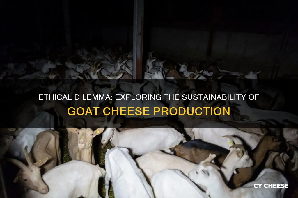 is goat cheese ethical