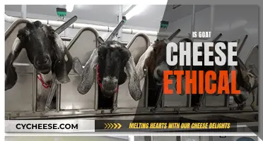 Goat Cheese: Ethical or Not?