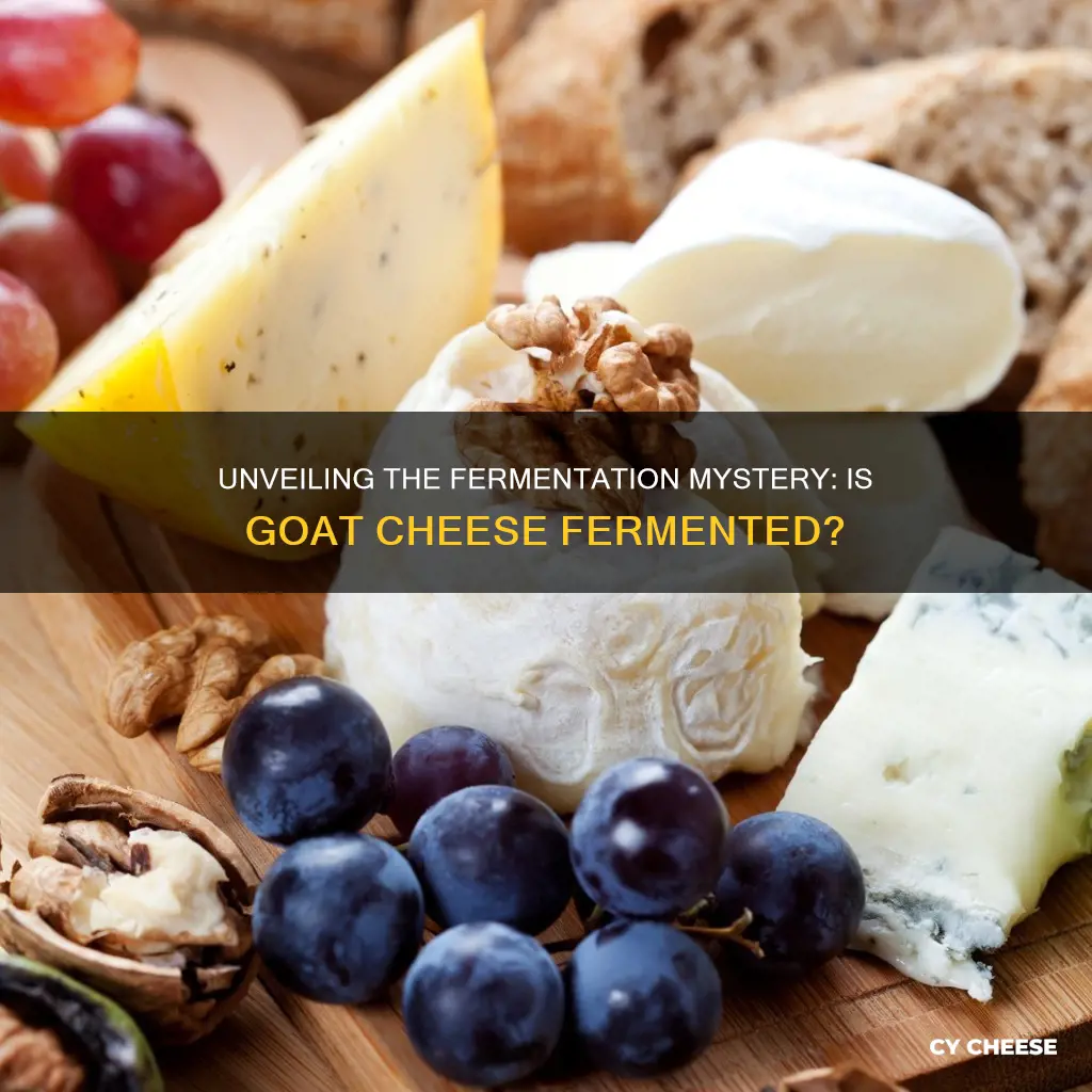 is goat cheese fermented