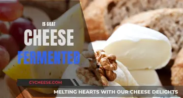Goat Cheese: A Natural Fermentation Process