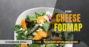Goat Cheese and FODMAP: What You Need to Know