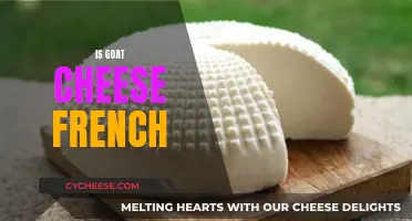 Goat Cheese: A French Delicacy Explored