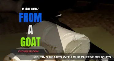 Unveiling the Origin: Is Goat Cheese Really Made from Goats?